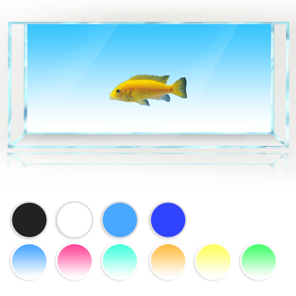 Aquarium Fish Yellow And Black - 물고기 탱크 배경 흰색 노란색 녹색