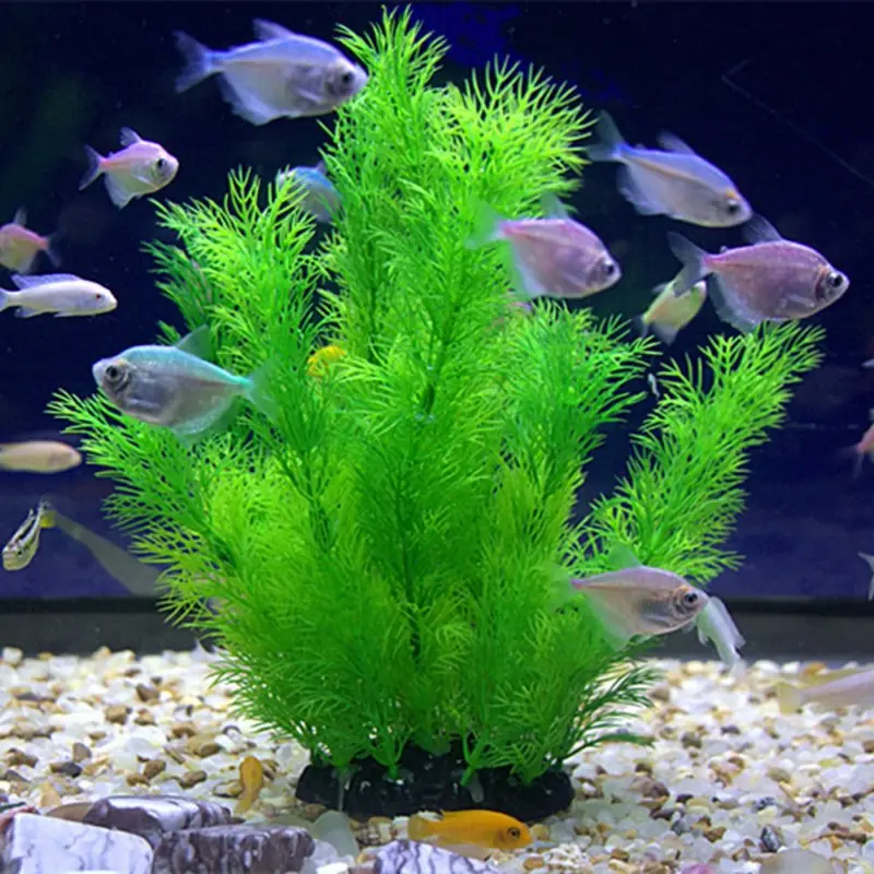 Aquarium Fish Enrichment - 인공 수족관 장식 식물 수중 물