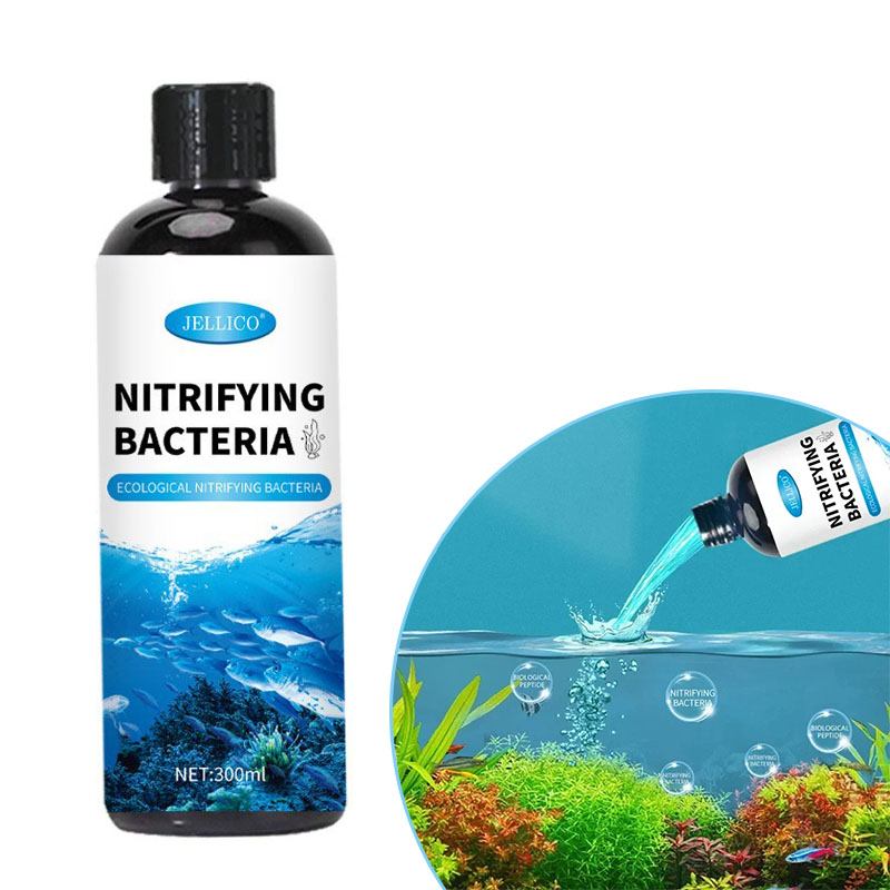 Aquarium Fish Breeding - 질화 박테리아 액체 물고기 탱크 정수기