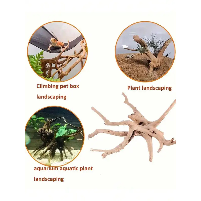 수족관 장식용 자연 유목, 어항 조경 장식품, 침몰목  - Aquarium Fish Enrichment 리뷰 및 가격