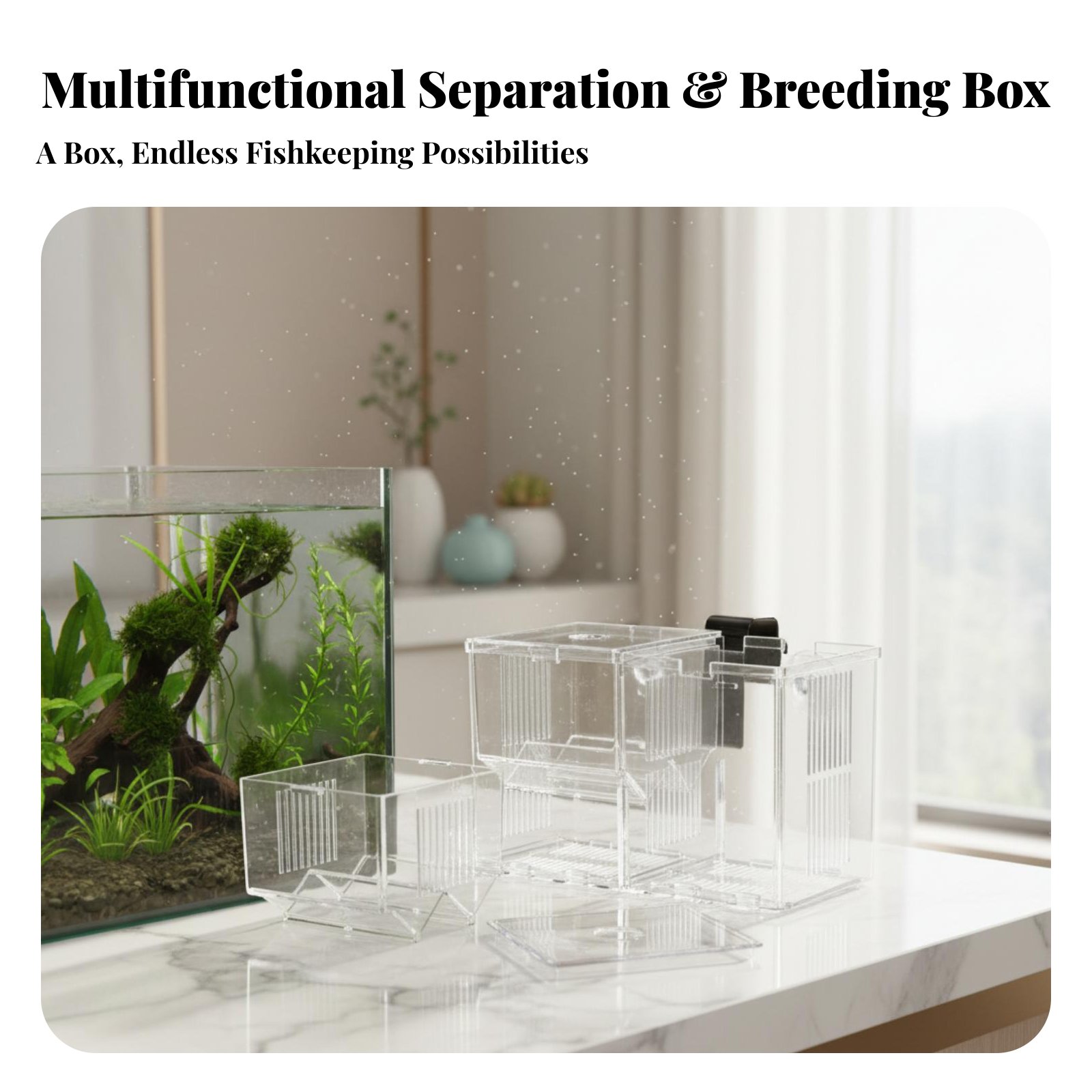 수생 서식지 보호 상자, 어린 물고기 보호용 분리 상자 - Aquarium Fish Breeding 리뷰 및 가격