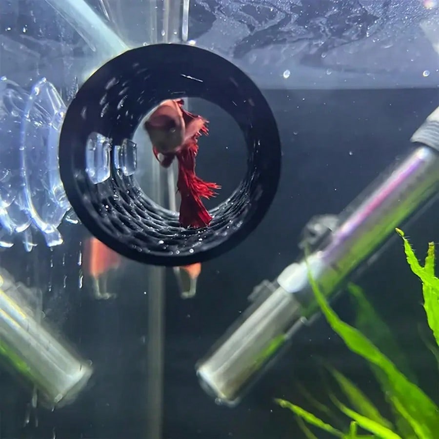 수족관 물고기 은신처 흡입 컵이있는 검은 중공 튜브 B - Aquarium Fish Black 리뷰 및 가격