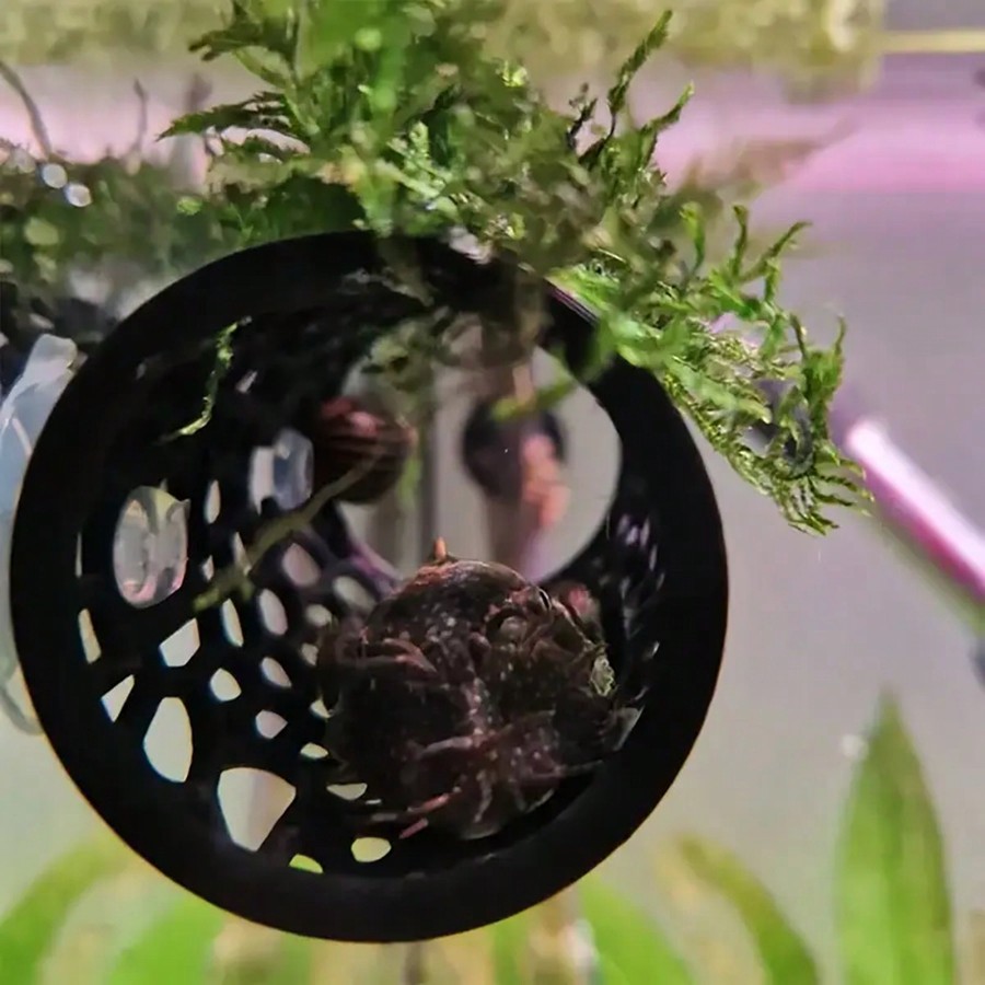 수족관 물고기 은신처 흡입 컵이있는 검은 중공 튜브 B - Aquarium Fish Black 리뷰 및 가격