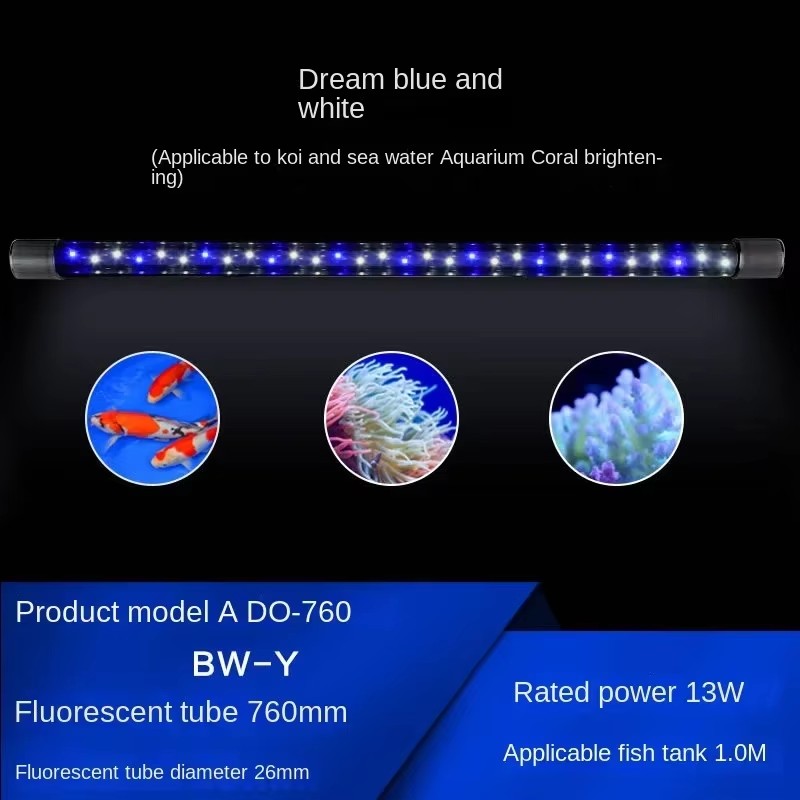 LED 수족관 조명, 아로와나 조명, 앵무새 물고기,  - Aquarium Fish Parrot 리뷰 및 가격