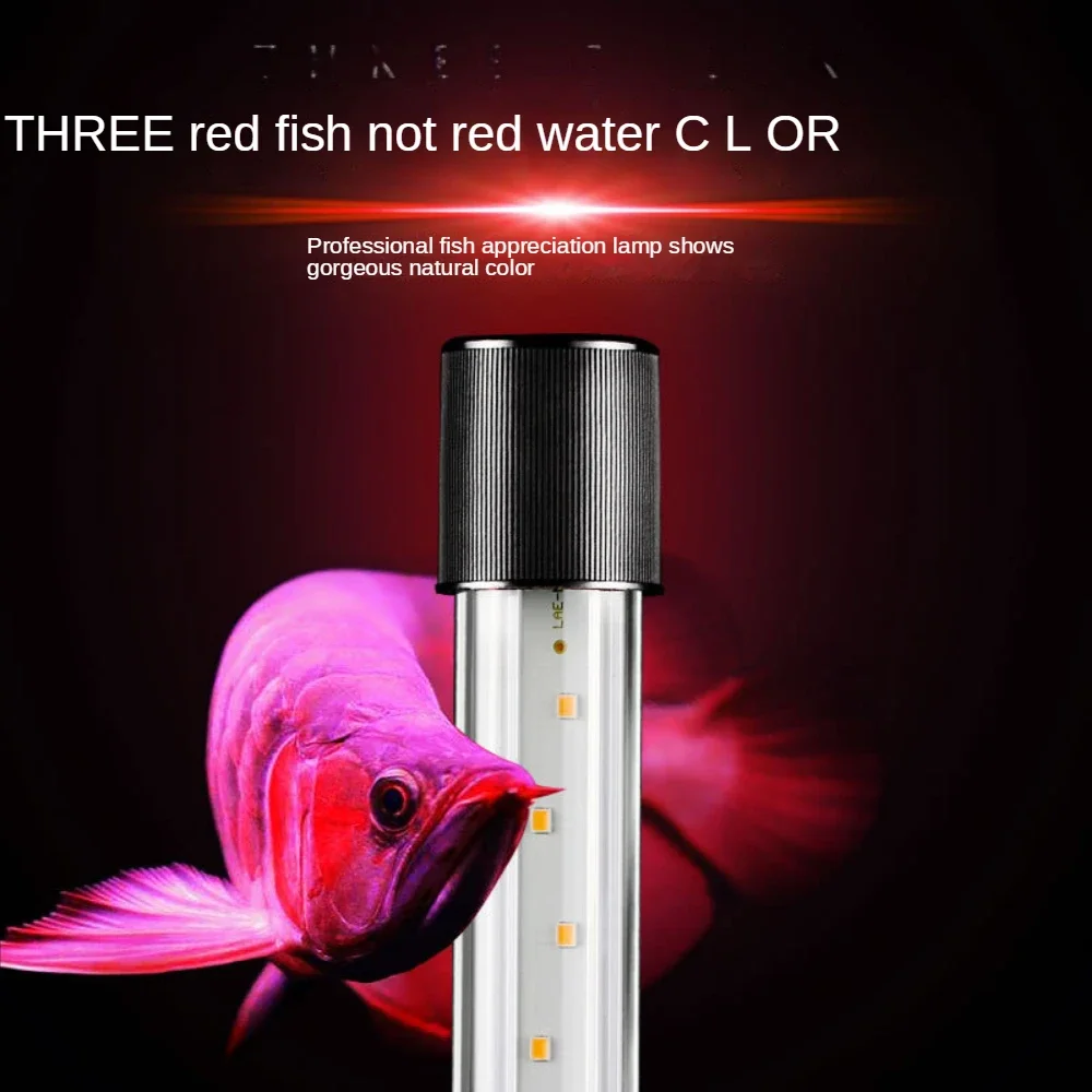 LED 수족관 조명, 아로와나 조명, 앵무새 물고기,  - Aquarium Fish Parrot 리뷰 및 가격