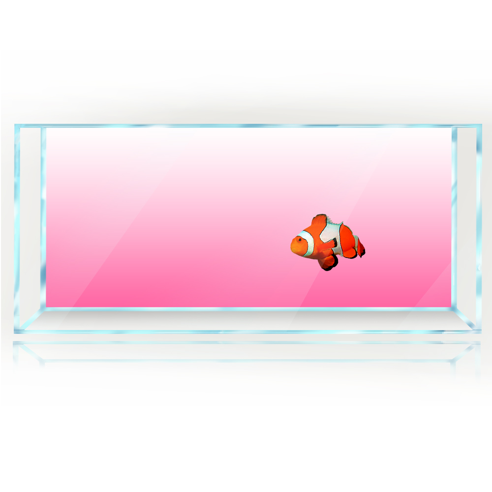 물고기 탱크 배경 흰색 노란색 녹색 파란색 검정색 그라 - Aquarium Fish Yellow And Black 리뷰 및 가격