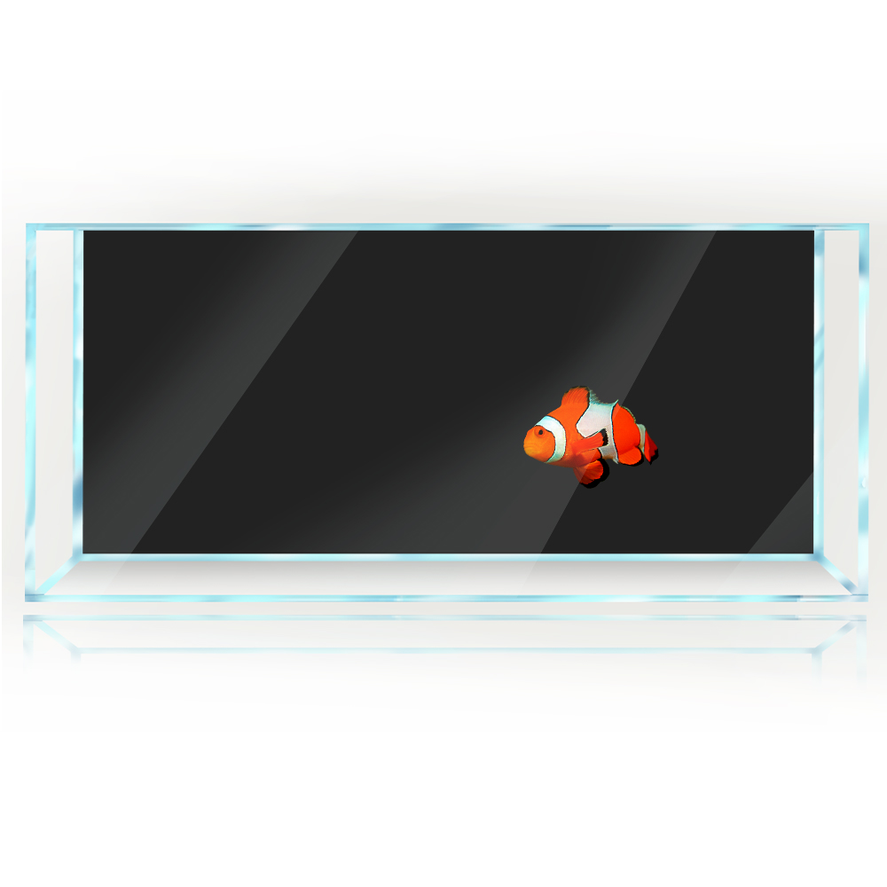 물고기 탱크 배경 흰색 노란색 녹색 파란색 검정색 그라 - Aquarium Fish Yellow And Black 리뷰 및 가격