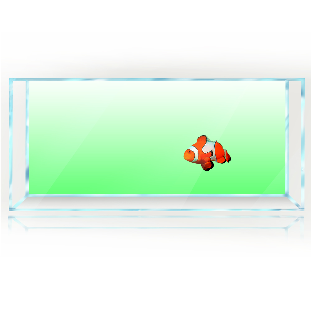 물고기 탱크 배경 흰색 노란색 녹색 파란색 검정색 그라 - Aquarium Fish Yellow And Black 리뷰 및 가격
