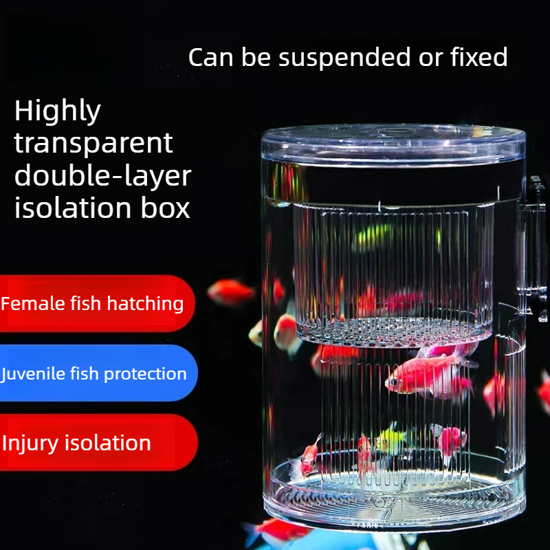 아크릴 사육 상자 수족관 물고기 탱크 격리 부화장 (구 - Aquarium Fish Parrot 리뷰 및 가격