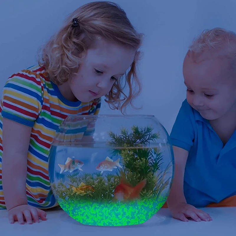 1000pcs 어두운 자갈 돌에 3-5mm 빛나는 모래 - Aquarium Fish Breeding 리뷰 및 가격