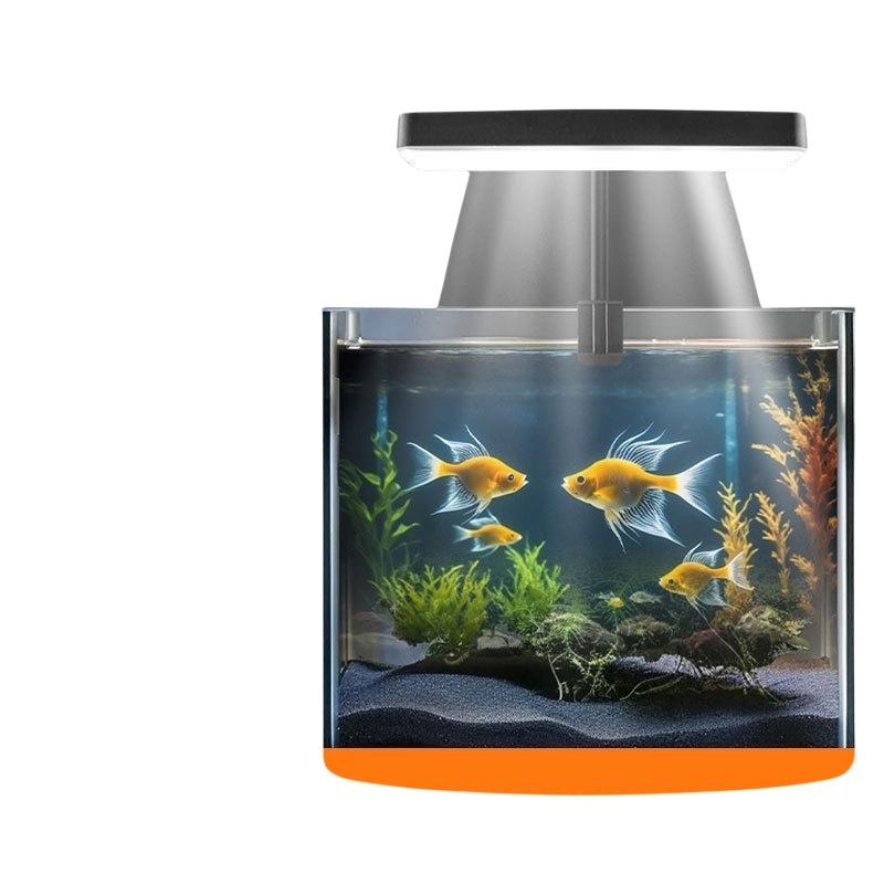 USB 수족관 클립 조명, 가정 사무실 데스크탑 어항  - Aquarium Fish Light 리뷰 및 가격