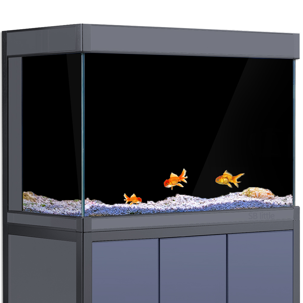 수족관 배경 스티커 검정색 흰색 어항 배경 화면 어항  - Aquarium Fish Black 리뷰 및 가격