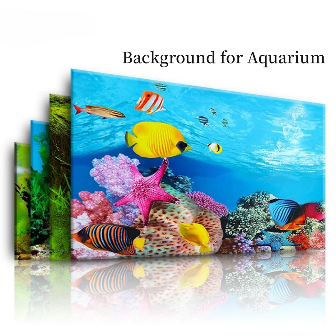 배경 수족관 3D 스티커 포스터 장식, 어항 해양 식물 - Aquarium Fish Enrichment 리뷰 및 가격