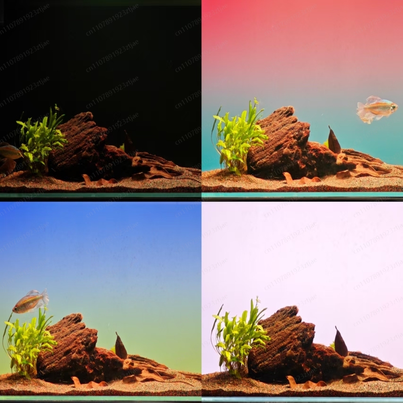 블랙 아크릴 수족관 배경 조명 패널, RGBW 그라데이 - Aquarium Fish Light 리뷰 및 가격