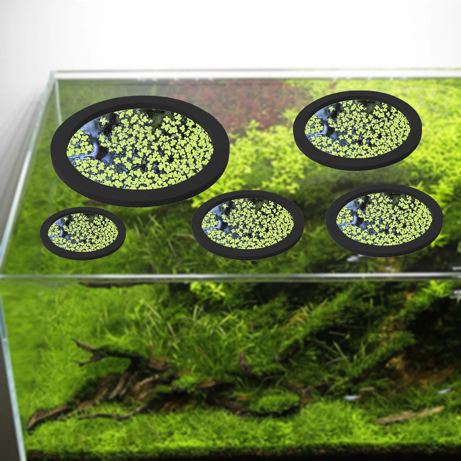 EVA 물고기 먹이 고리 수족관 플로팅 식물, 코랄 어 - Aquarium Fish Breeding 리뷰 및 가격