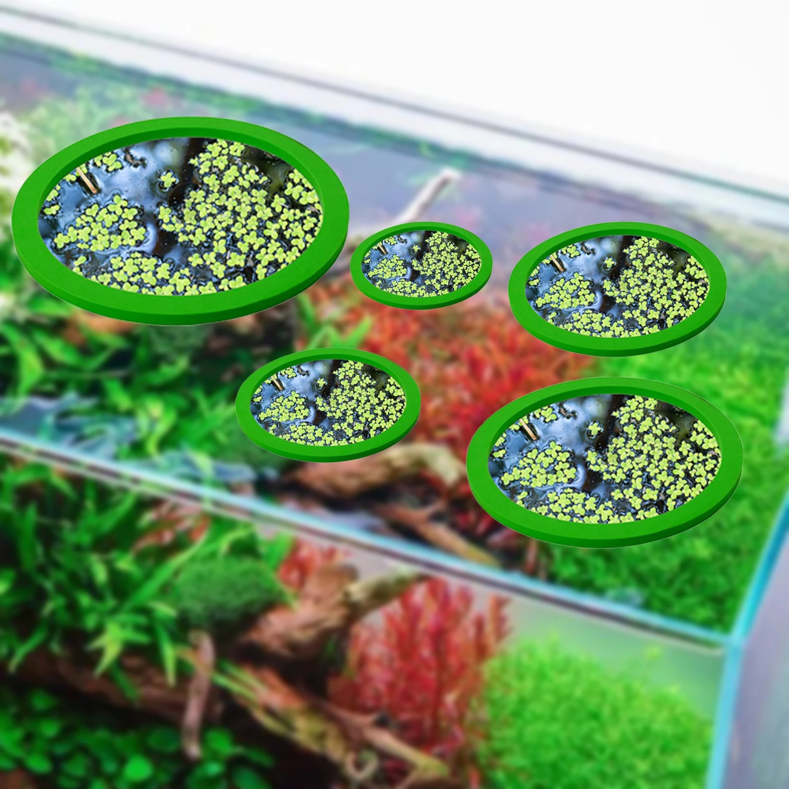 EVA 물고기 먹이 고리 수족관 플로팅 식물, 코랄 어 - Aquarium Fish Breeding 리뷰 및 가격