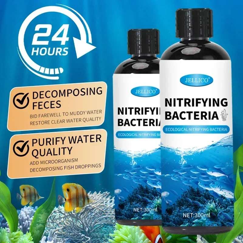 질화 박테리아 액체 물고기 탱크 정수기 수족관 물고기  - Aquarium Fish Breeding 리뷰 및 가격