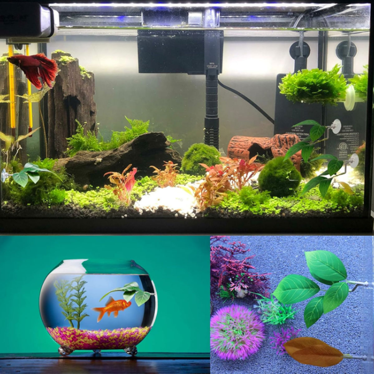1 PC 베타 물고기 해먹 부드러운 수족관 장식 플라스 - Aquarium Fish Enrichment 리뷰 및 가격