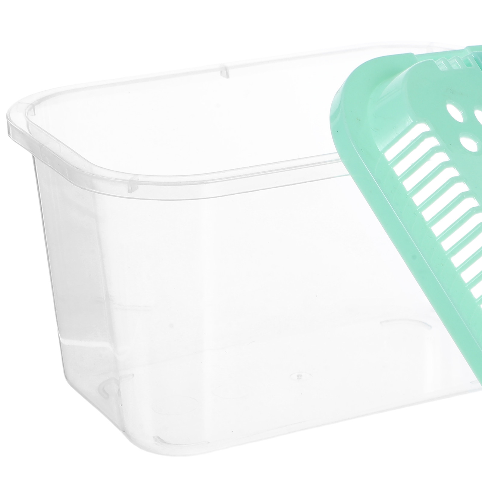 5Pcs 휴대용 물고기 운반 컨테이너 미니 여행용 물고 - Aquarium Mini Fish 리뷰 및 가격