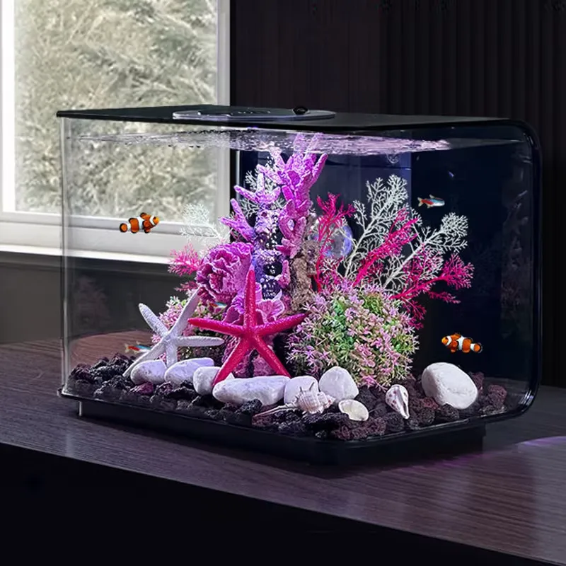 아쿠아리움 거실용 소형 어항 공급업체 데스크탑 에코 테 - Aquarium Fish Supplier 리뷰 및 가격