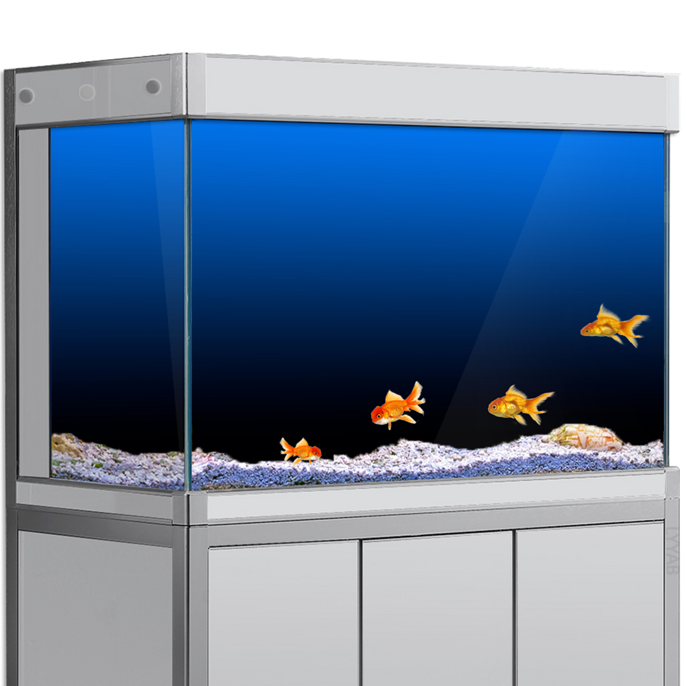 물고기 탱크 배경 스티커 검정 녹색 파란색 그라디언트  - Aquarium Fish Black 리뷰 및 가격