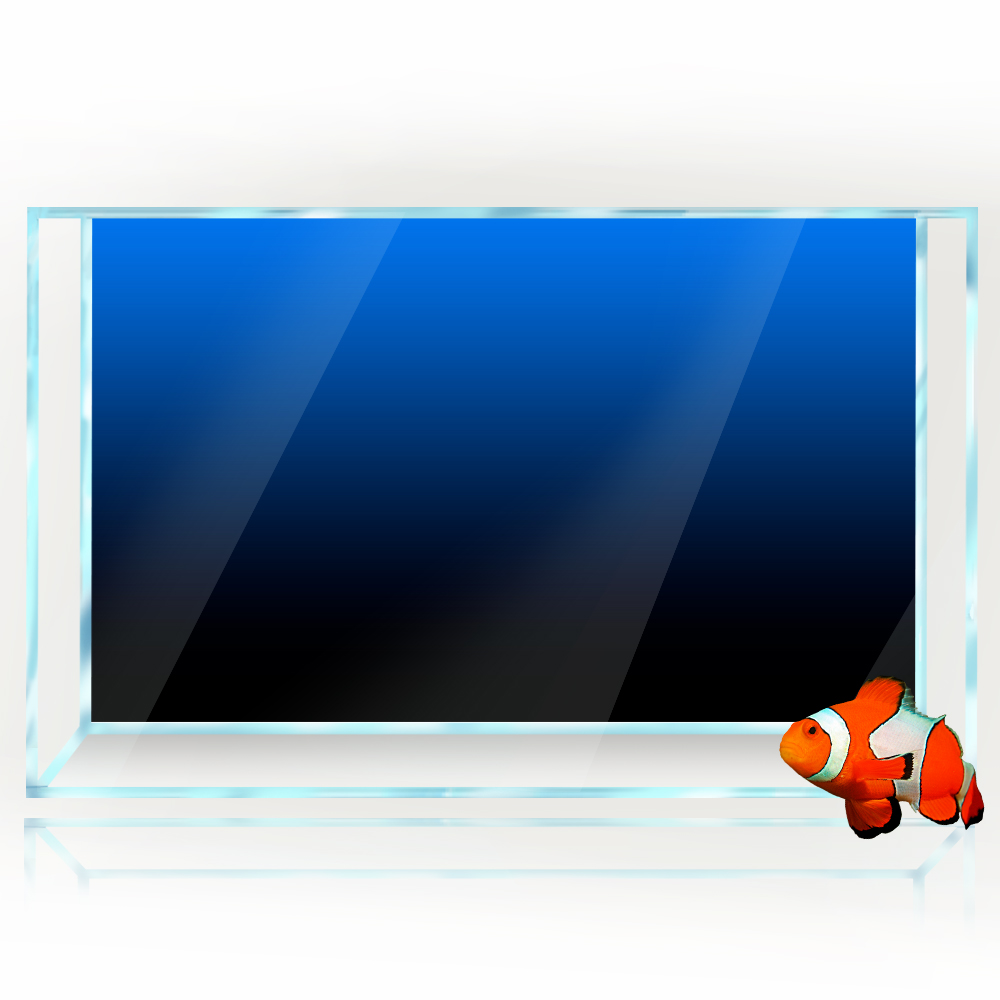 물고기 탱크 배경 스티커 검정 녹색 파란색 그라디언트  - Aquarium Fish Black 리뷰 및 가격