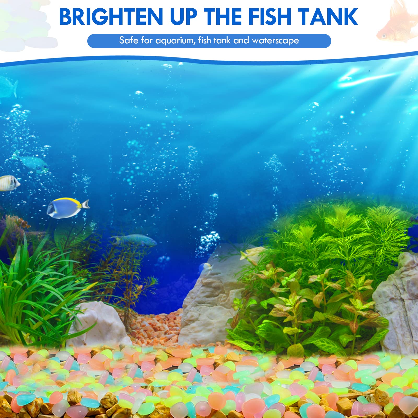 100Pcs 보도 정원 테라스 잔디 정원 파티오 물고기 - Aquarium Fish Breeding 리뷰 및 가격