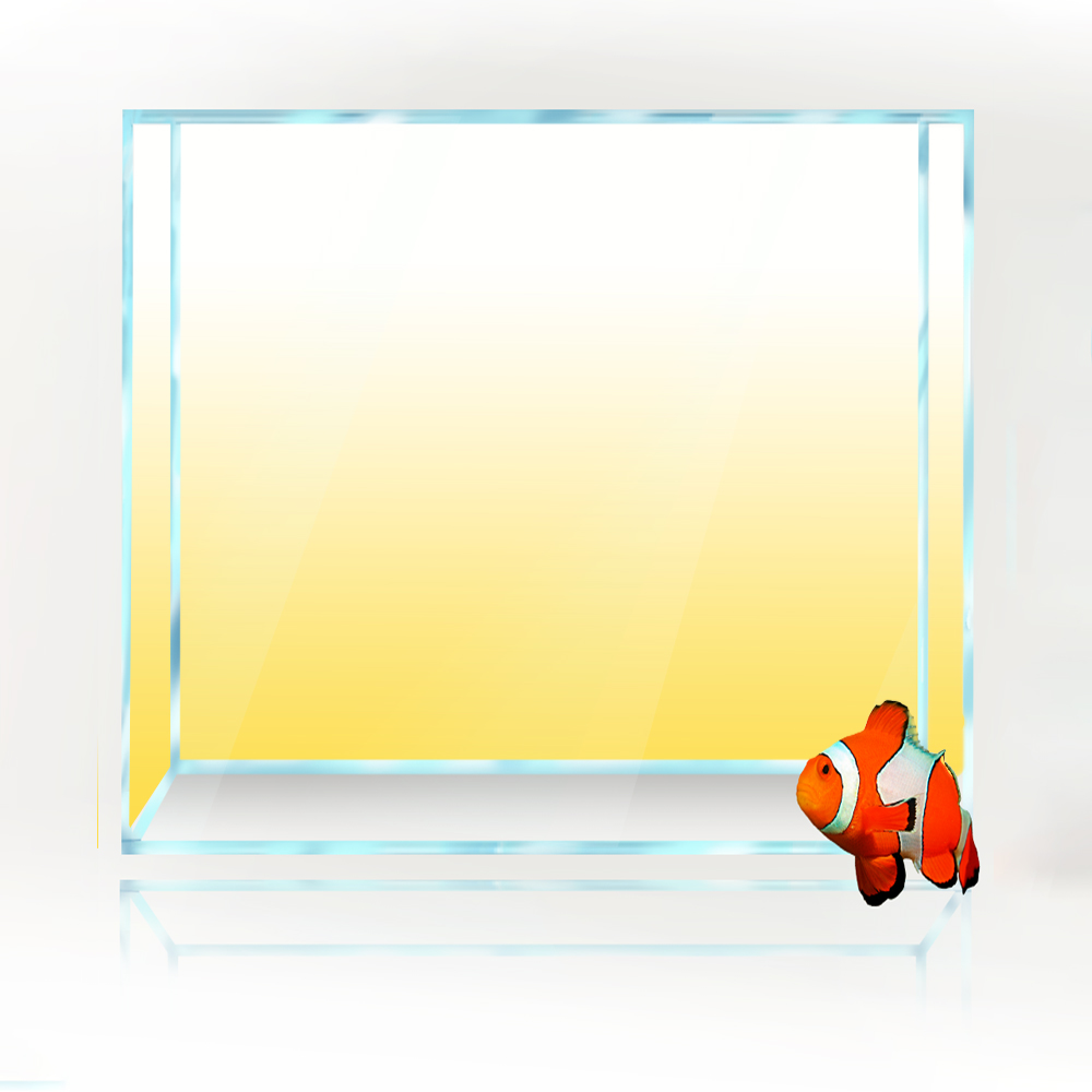 사각형 물고기 탱크 배경 흰색 노란색 녹색 파란색 검정 - Aquarium Fish Yellow And Black 리뷰 및 가격