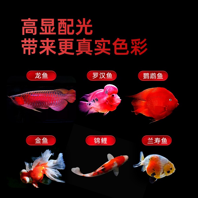 방수 삼색 LED 수족관 조명, 레드 아로와나, 앵무새 - Aquarium Fish Parrot 리뷰 및 가격