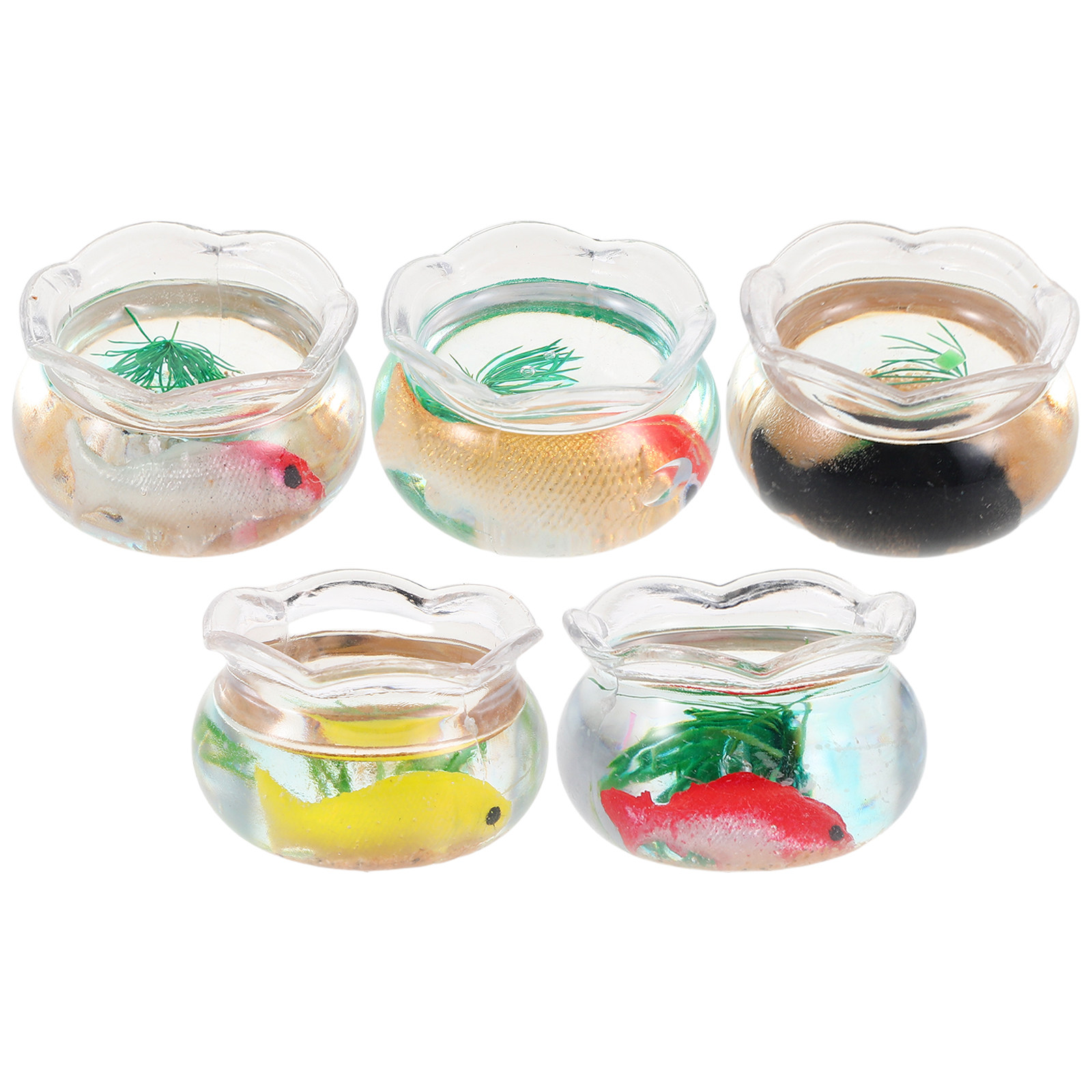 5개 미니 어항, 작은 원형 금붕어 수족관, 사실적인  - Aquarium Mini Fish 리뷰 및 가격